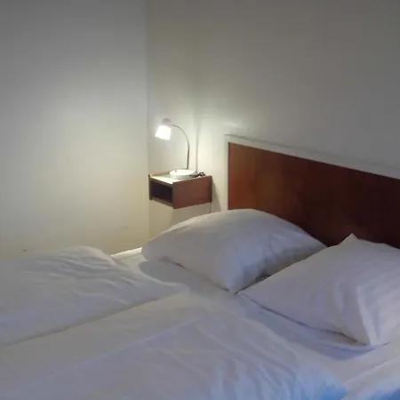ホテル Danhotel 3*